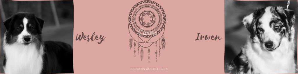 D'Austral Et Boréal - Berger Australien - Portée née le 03/08/2020
