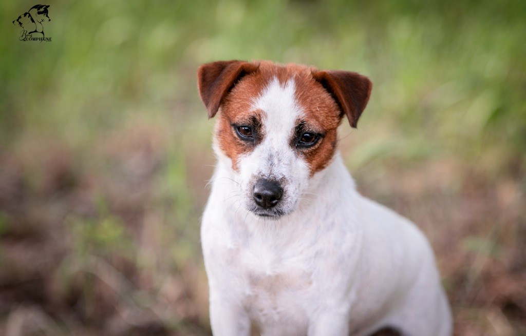 Real worl edition Du Mas Ensoleillé