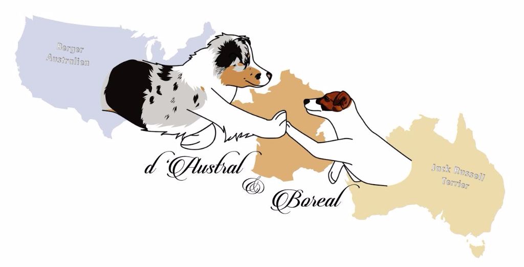 D'Austral Et Boréal - Notre page Facebook !
